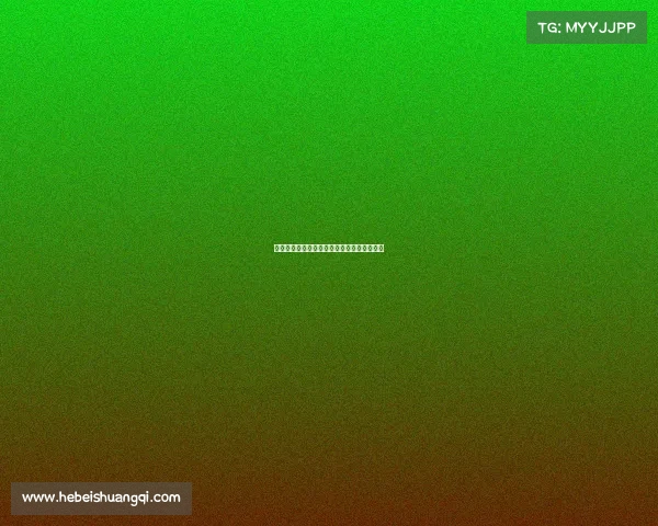 国际赛事选拔办法、国际赛事选拔办法有哪些